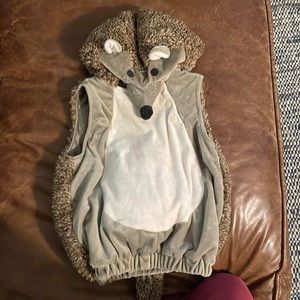 Hedgehog costume 12-18 months